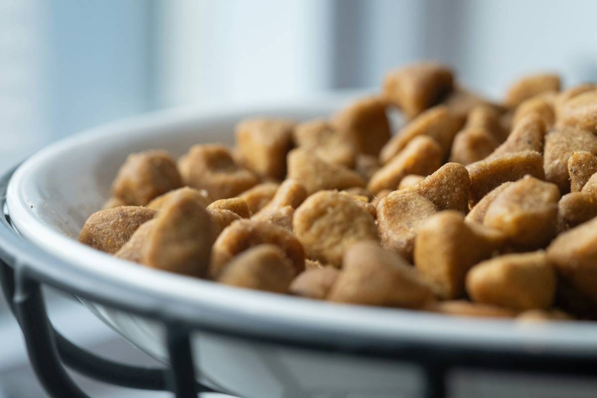 Side-by-side comparison of high-quality cat food nutrient labels versus generic organic brands