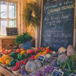 Green Cat Nutrition Sourcing: The Truth Behind Sustainable Organic Cat Food