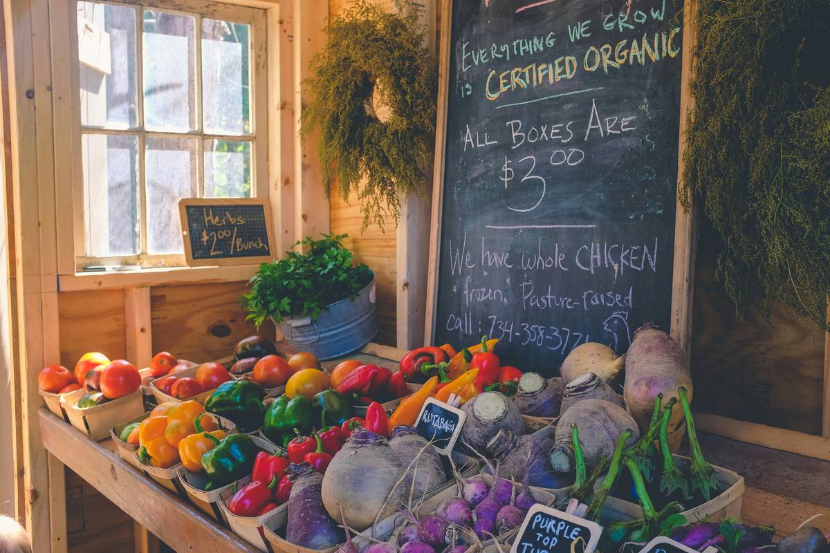 Green Cat Nutrition Sourcing: The Truth Behind Sustainable Organic Cat Food