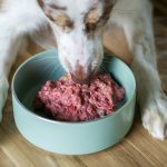 High-Purity Cat Food Ingredients: 7 Proven Ways to Avoid Costly Mistakes